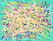 telephone reverse